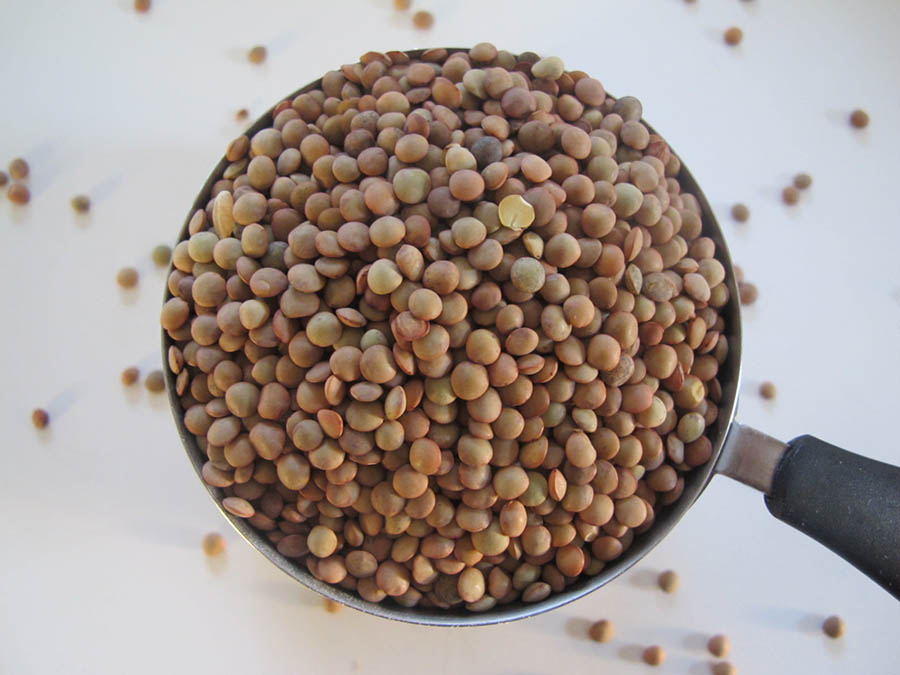 lentils2.jpg