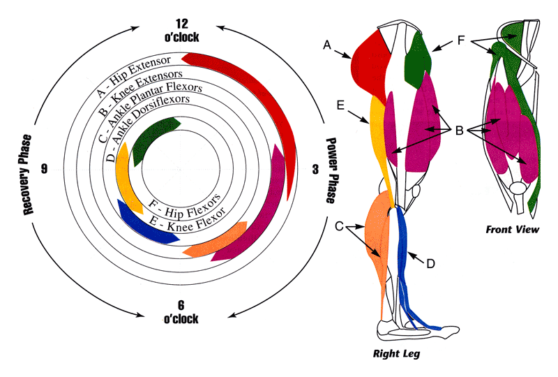 3.gif