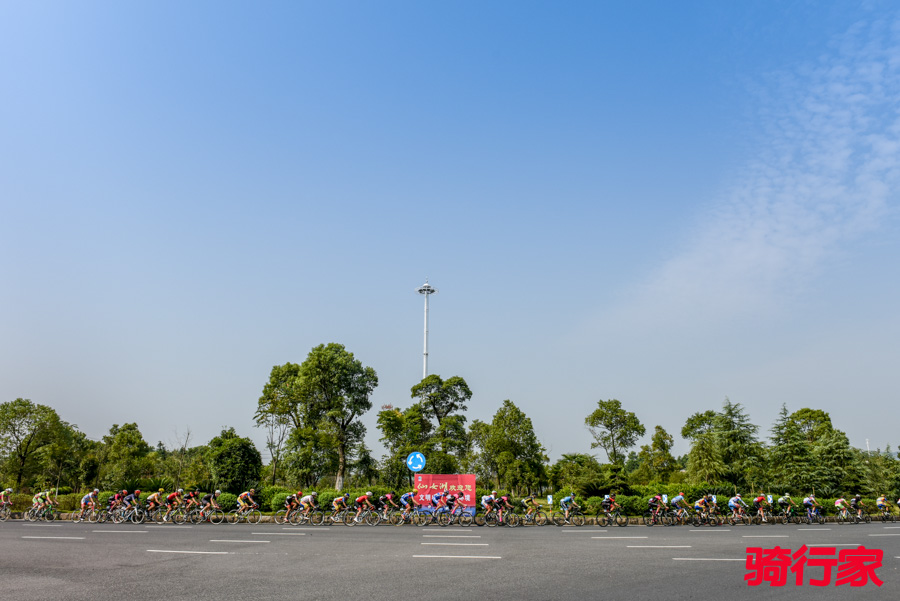 DSC_1297.jpg