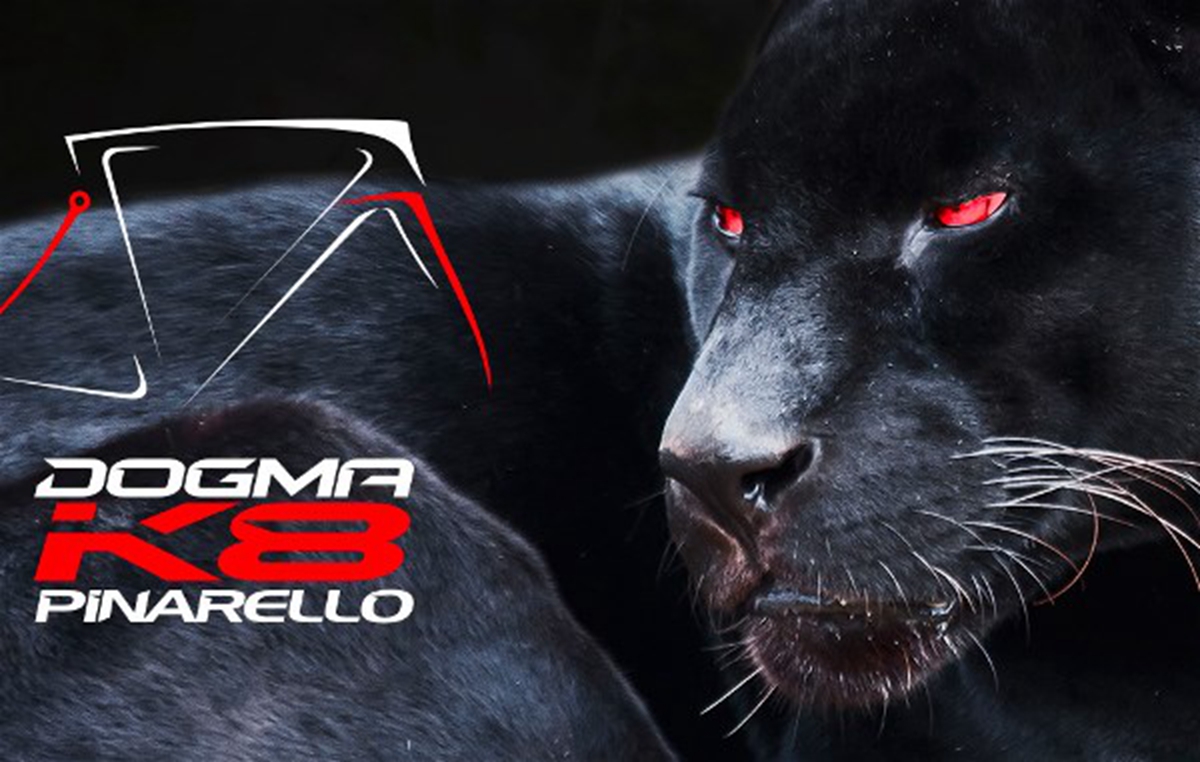 DOGMA K8-S logo_副本.jpg