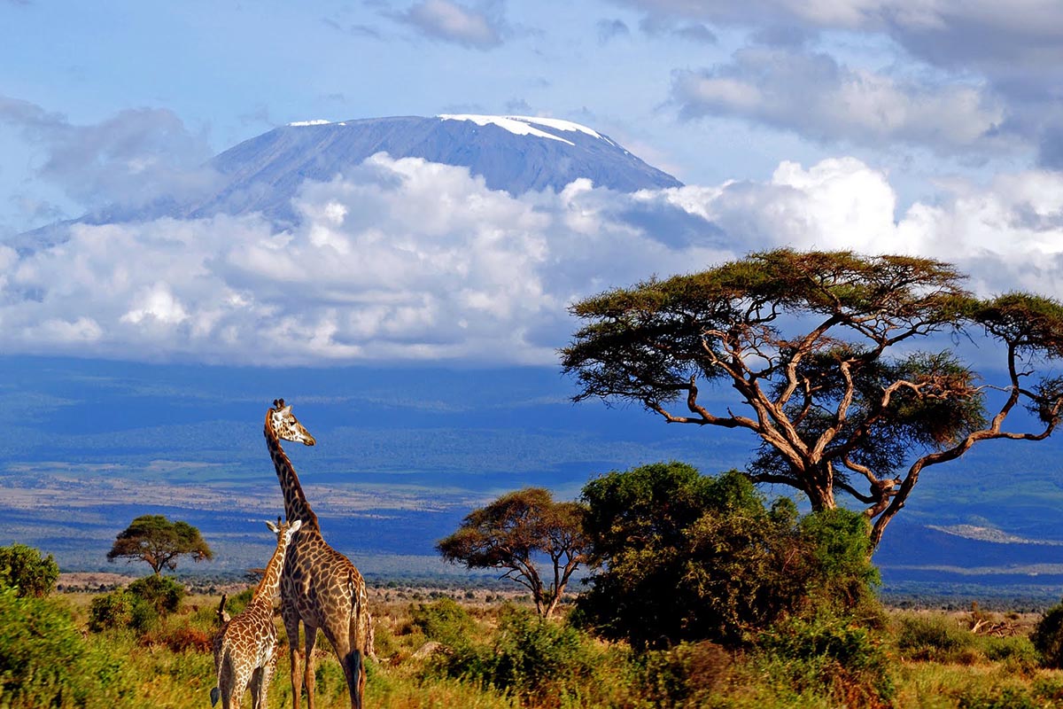 Kilimanjaro-Mountain.jpg