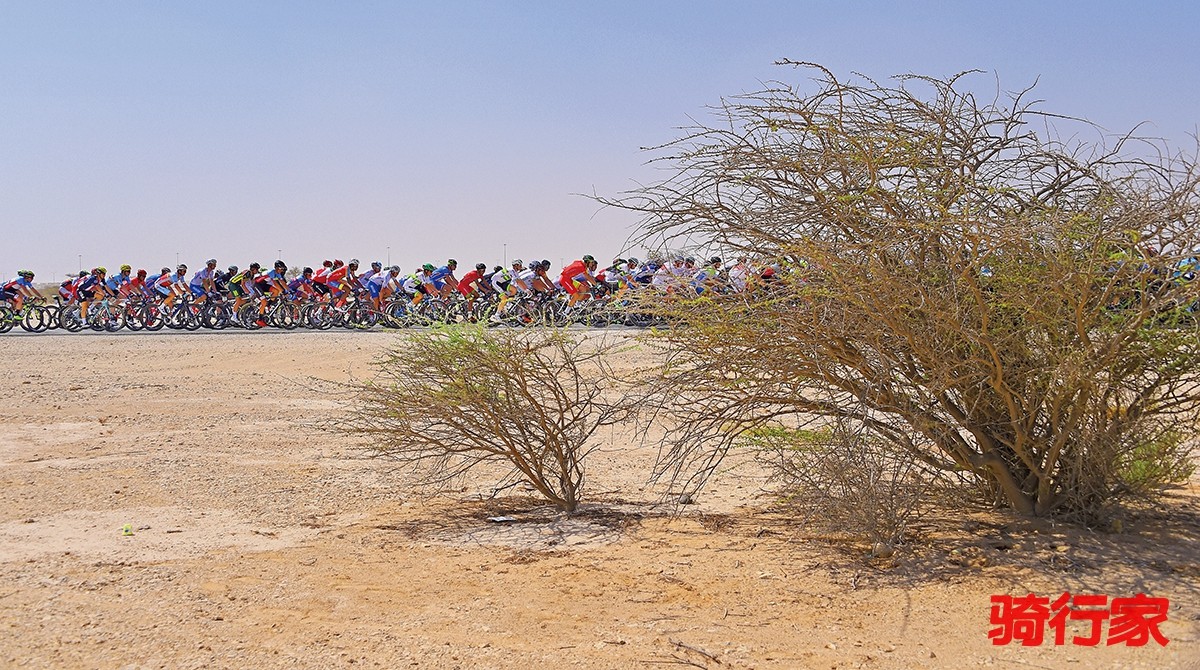 20165769-338168.jpg