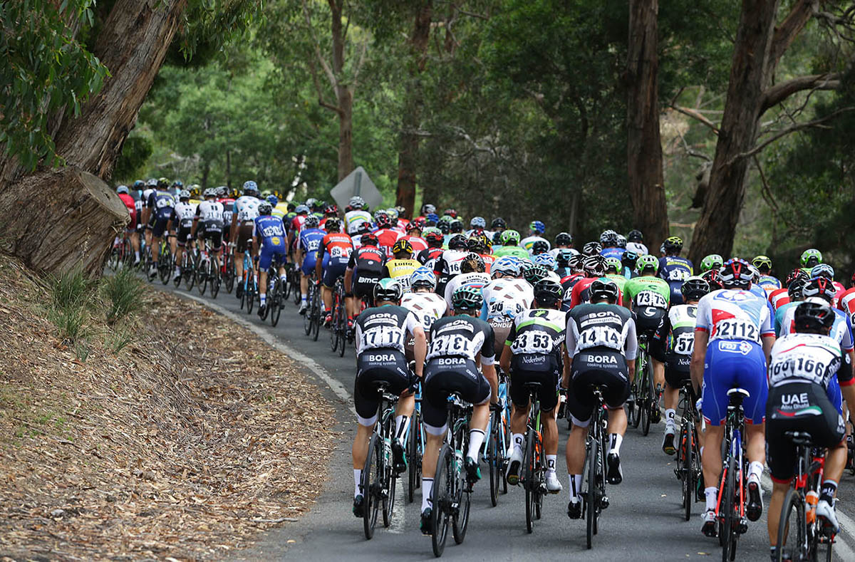 The peloton stuck together through the Stirling circuits.jpg