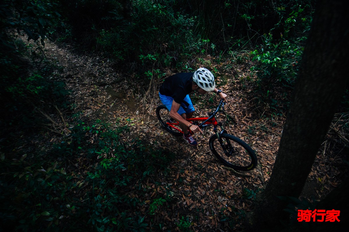 20170329-DSC_2584.jpg
