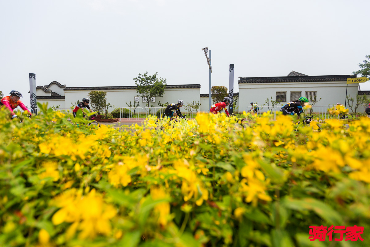 YJL-66.jpg