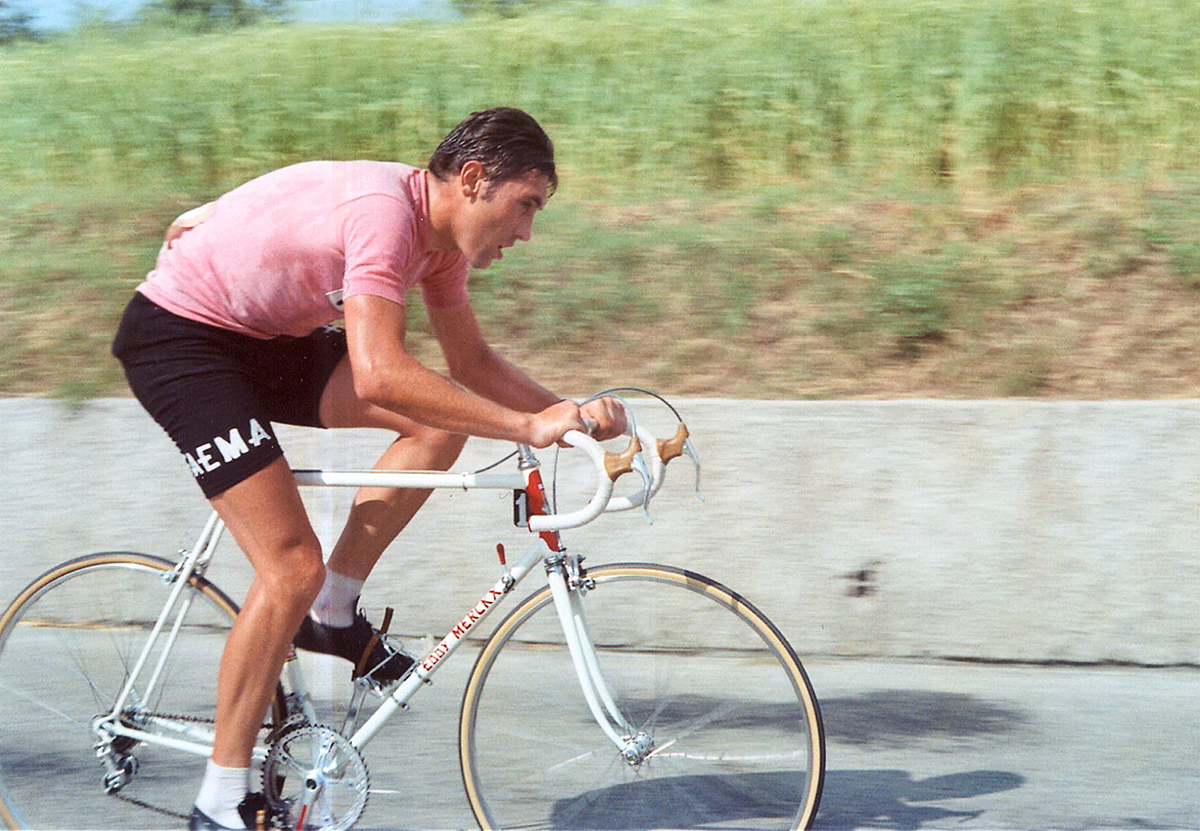 Eddy-Merckx-steel-bike-pink-jersey-maglia-rosa-pic-Sirotti.jpg