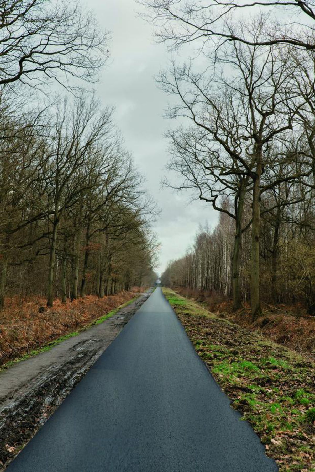 parisroubaix_hr_6_1.jpg