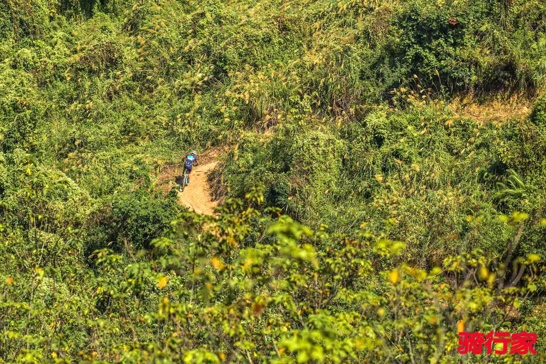 _DSC8786.jpg