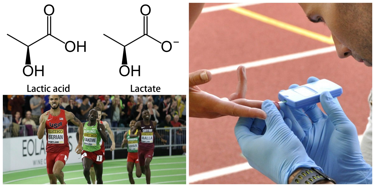 Lactic_Acid.jpg