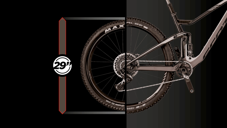 29ER.jpg