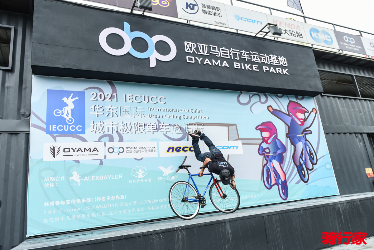 11162986-7.jpg