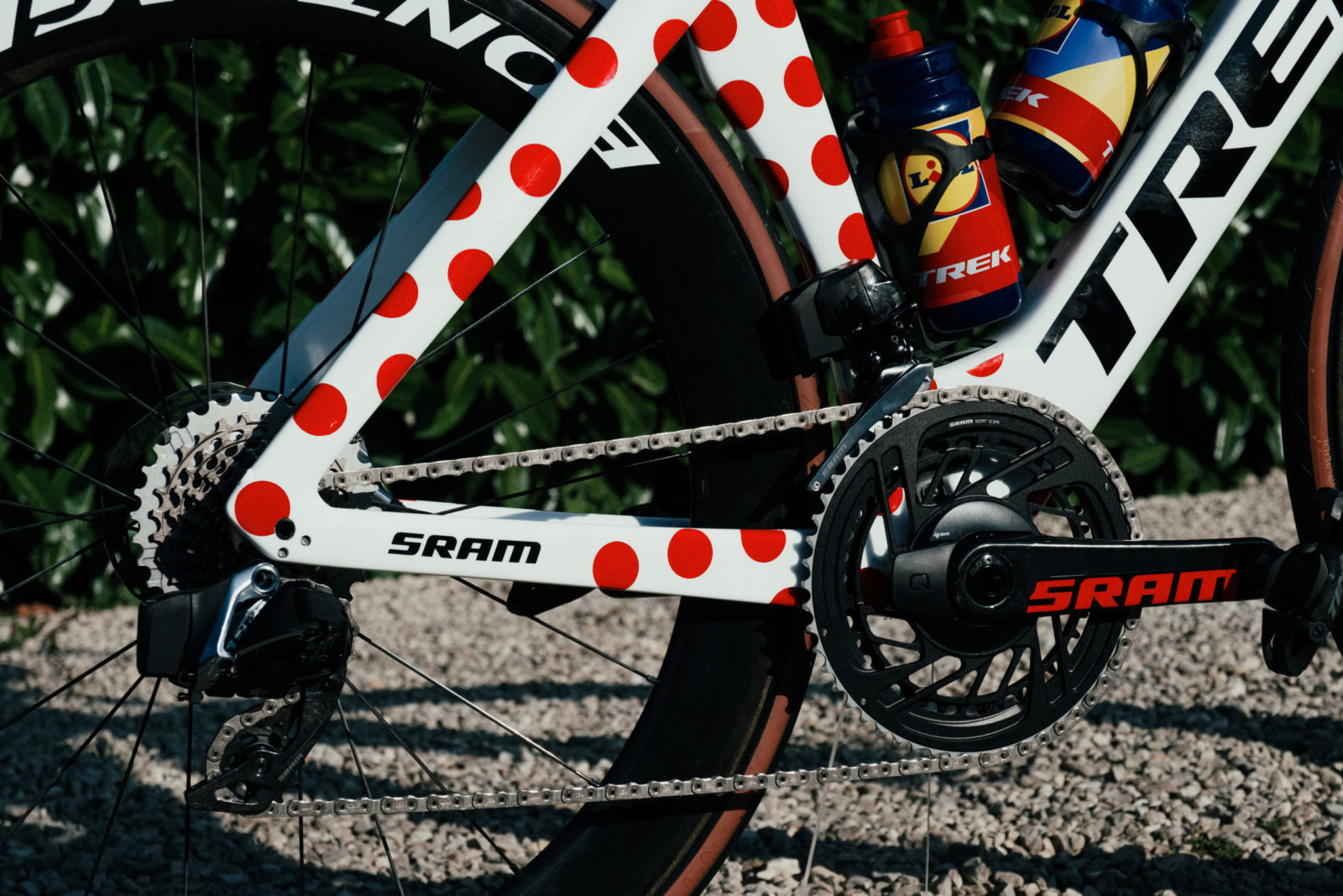 Lidl-Trek-Ciccone-Bike-102-scaled-1600x0-c-default.jpg