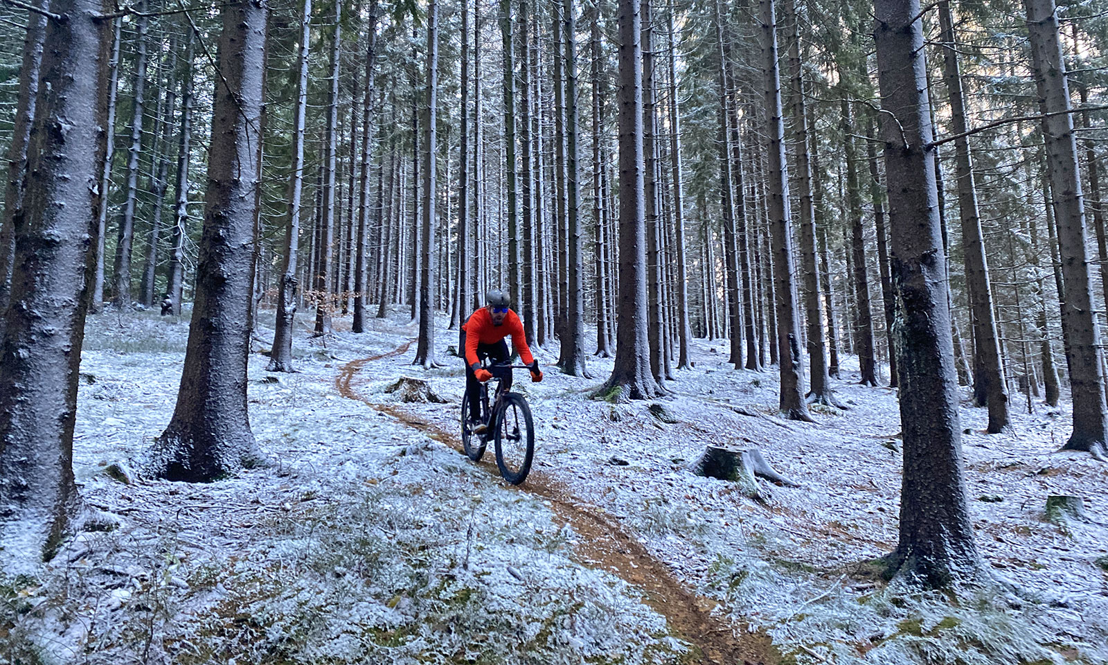 2023-3T-Exploro-Extrema-Italia_carbon-fat-tire-29er-aero-adventure-gravel-bike-made-in-Italy_riding-in-winter-forest.jpg