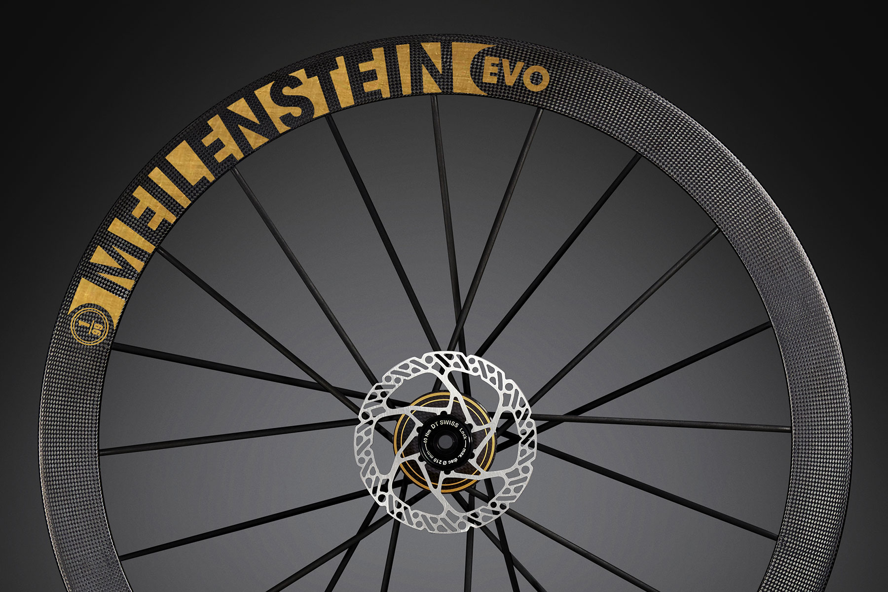 Lightweight-Meilenstein-EVO-Signature-Edition-Gold-carbon-road-wheels_23k-gold-leaf-detail.jpg