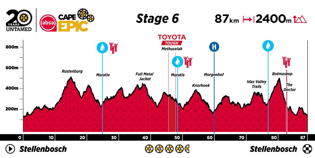 ACE24_Profiles_Stage_6_large.jpg