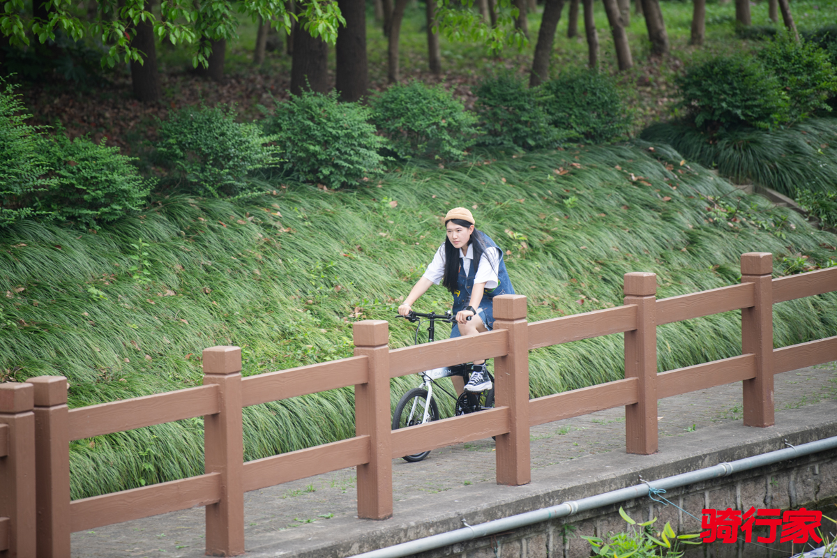 DSC_2320-编辑.jpg