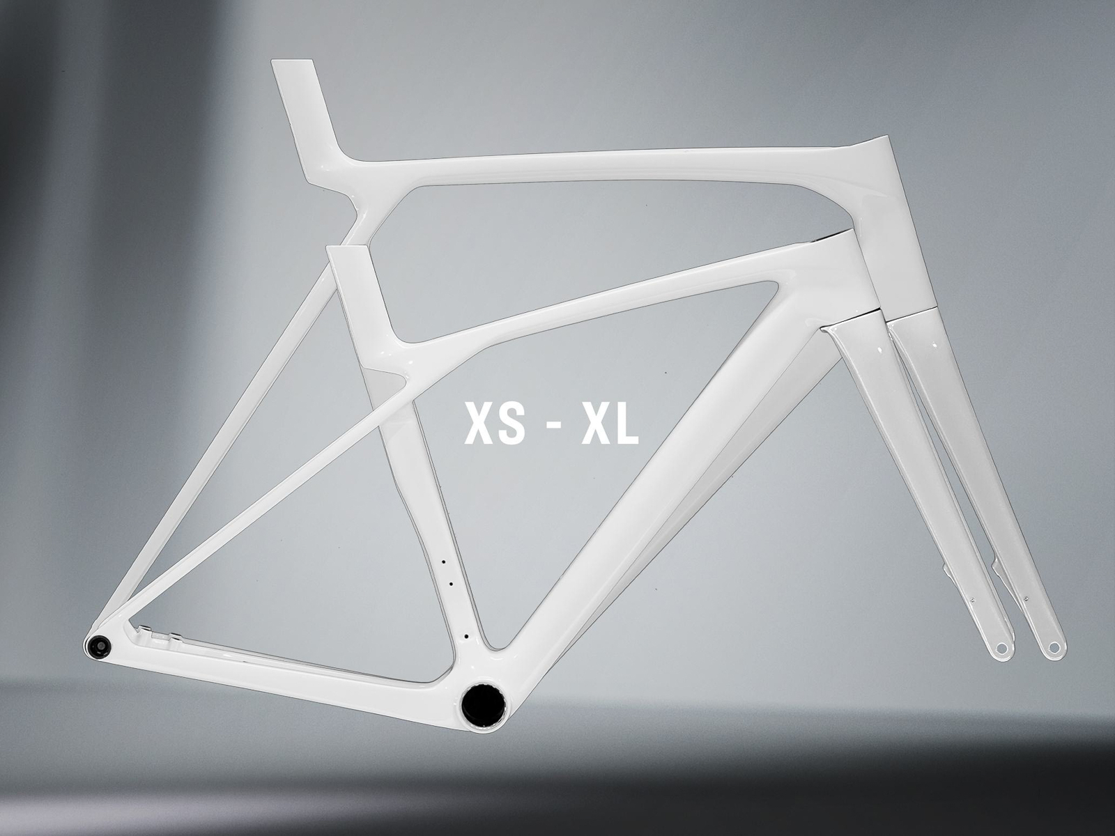 Madone 24 Family Page V1-2-11.jpg
