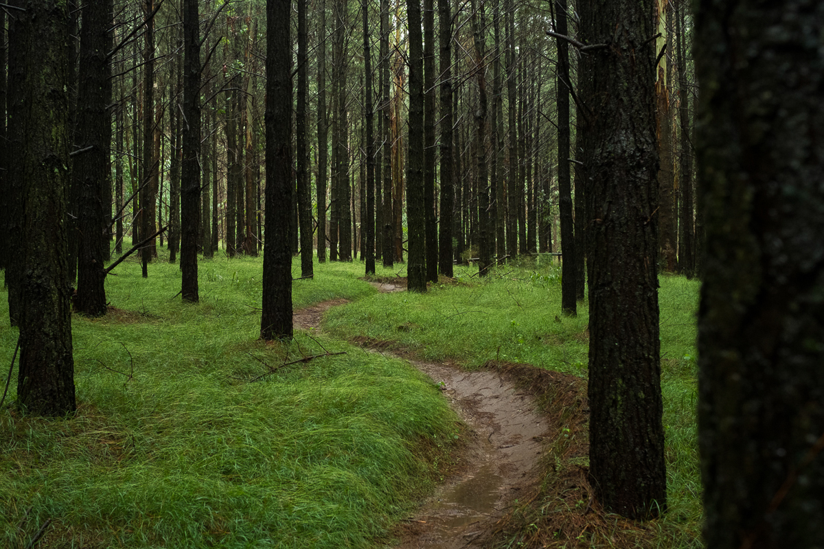 547029-SLorencePhoto_trailbuilder_052-706cb6-original-1721738883.jpg