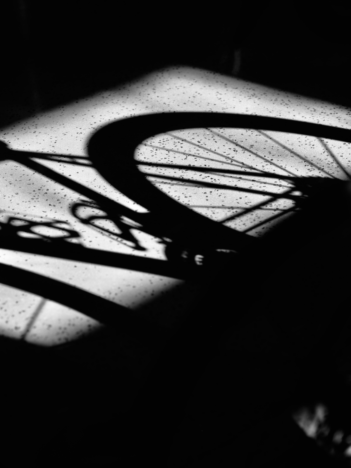DSCF8169.JPG