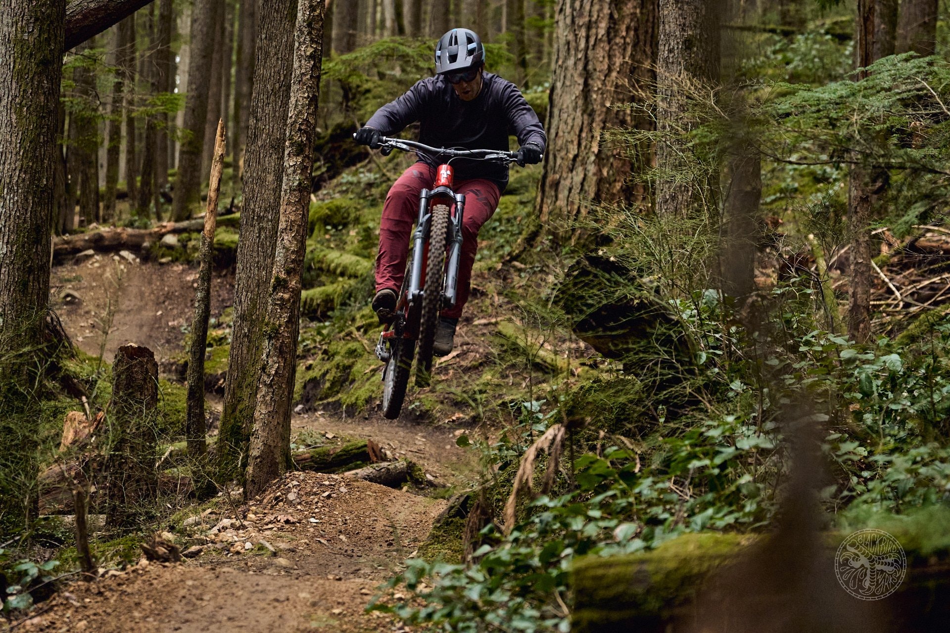 DSC09507_tim_coleman_nukeproof_g.jpg
