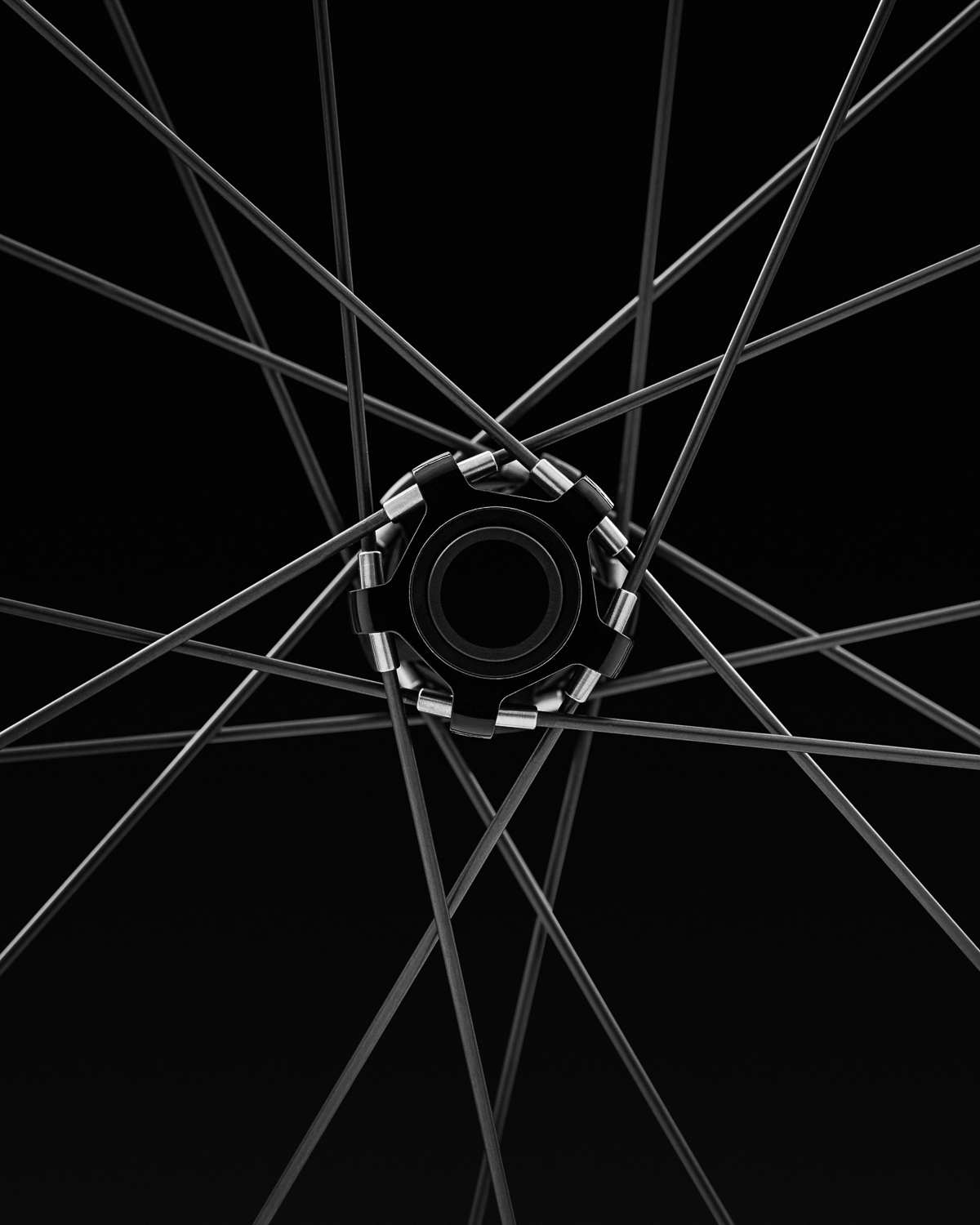 45 WE_ARE_SPECIALIZED_2025_0125.jpg
