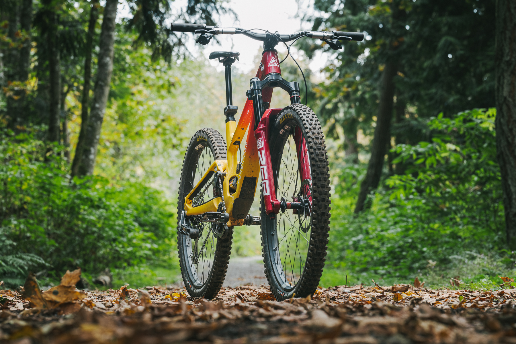 RockShox_Reverb_AXS_AS_Bellingham_8332.jpg