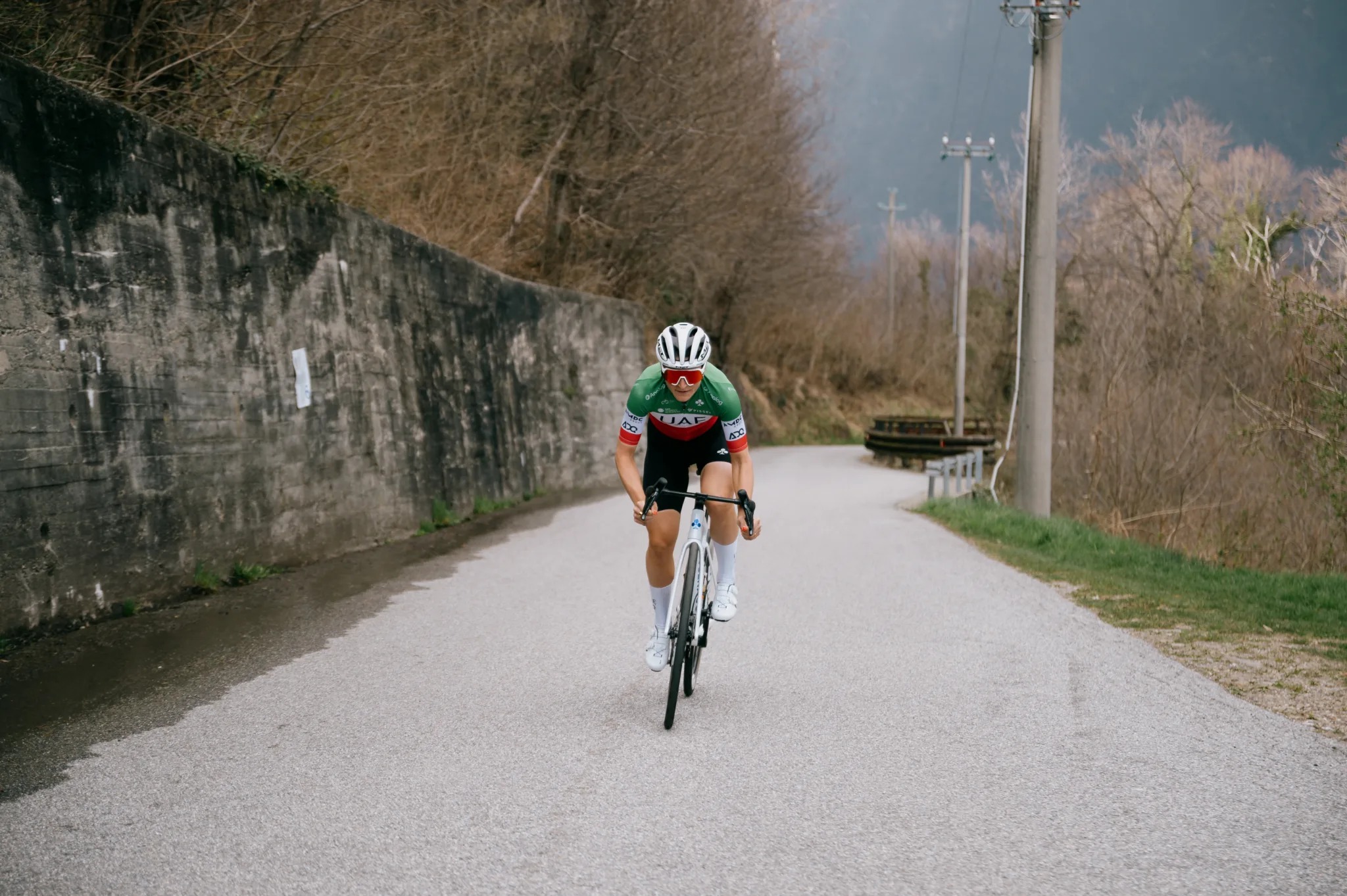 Colnago-V5Rs-Borgini-2048x1363.jpg