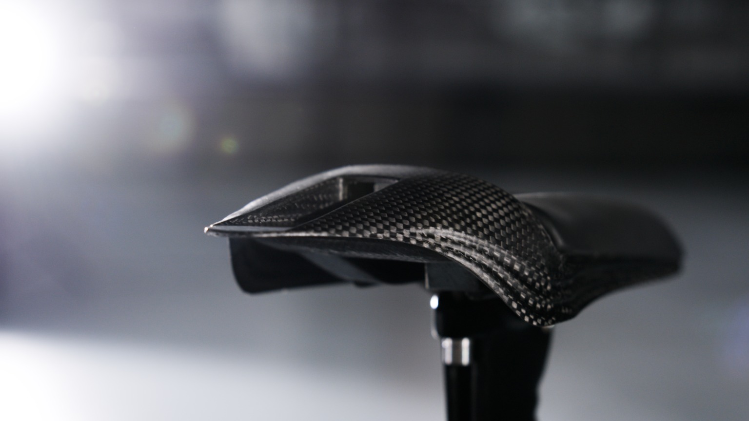Prologo-Predator-01TT-full-back.jpg