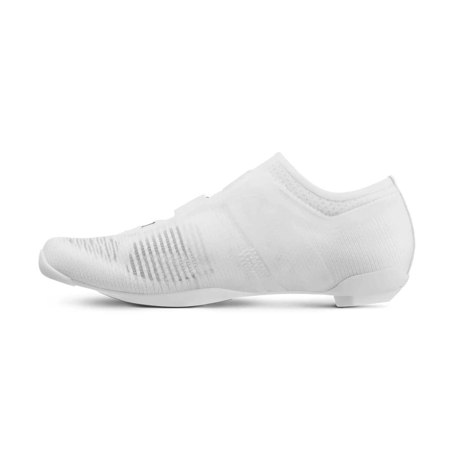 fizik_vega-whit-inside--1536x153.jpg