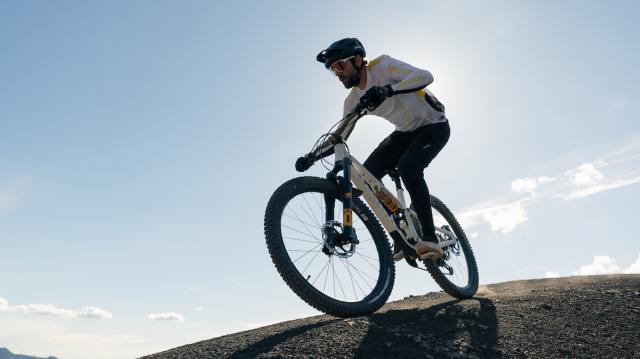 征服Enduro与Downhill赛道 Schwalbe德燕