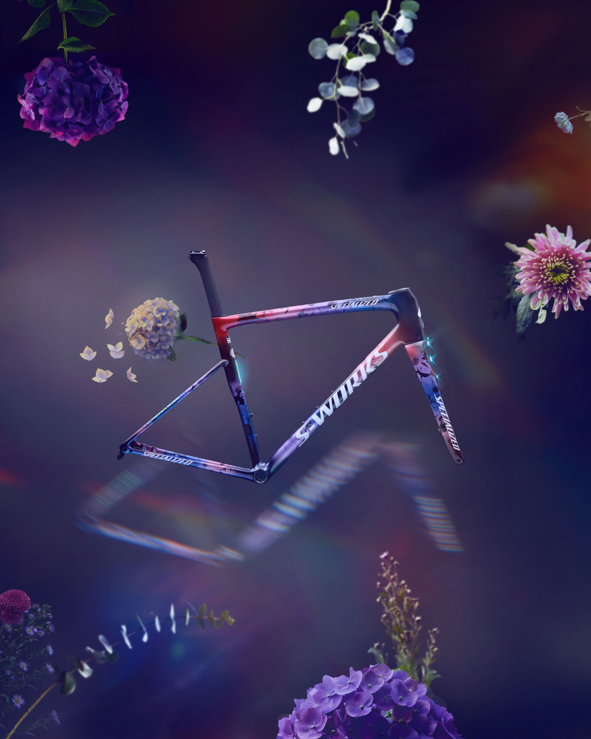 ROAD-9091_2025_Demi_LTD_SW_Tarmac_Frameset_Social_4x5_02.jpg