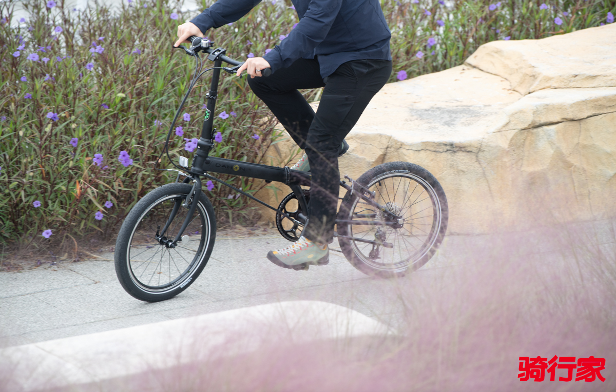 1761109693568023.jpg DSC_9593-编辑.jpg