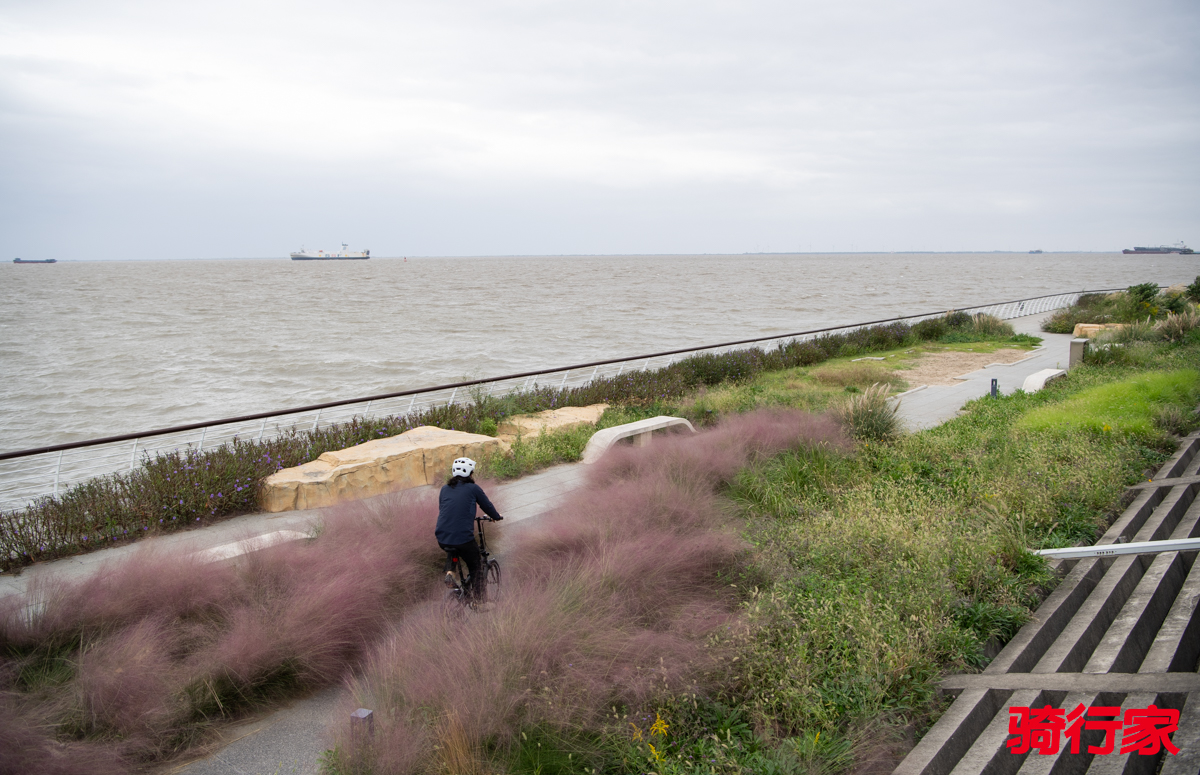 1761109753743398.jpg DSC_9851.jpg