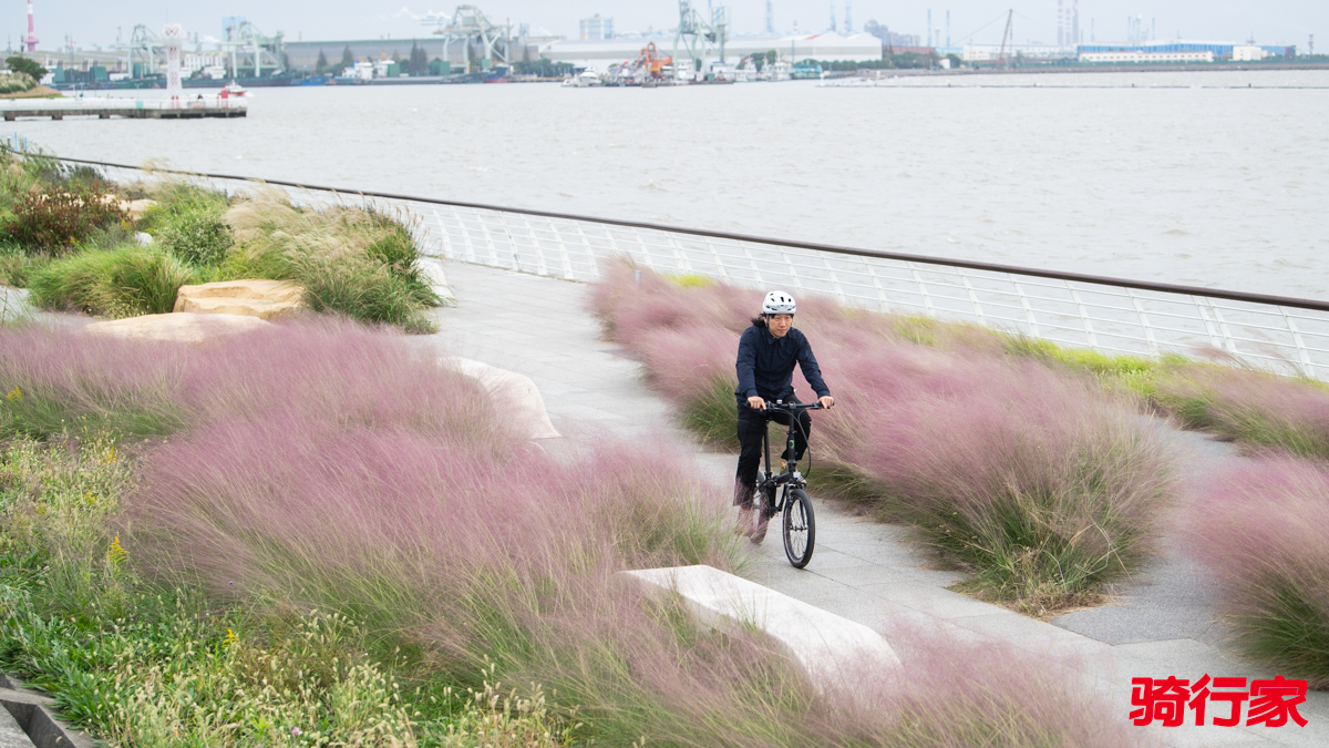 1761531449667875.jpg DSC_9664.jpg