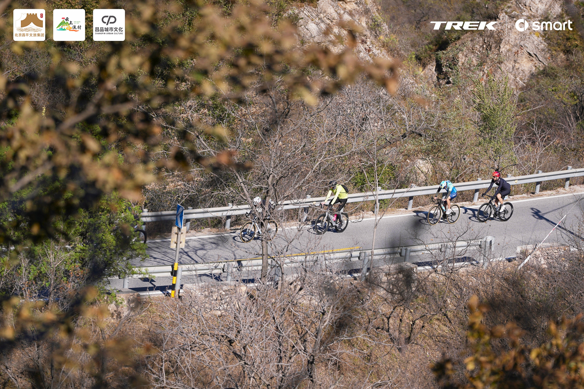 1761550718812477.jpg IMG_7111 2.jpg