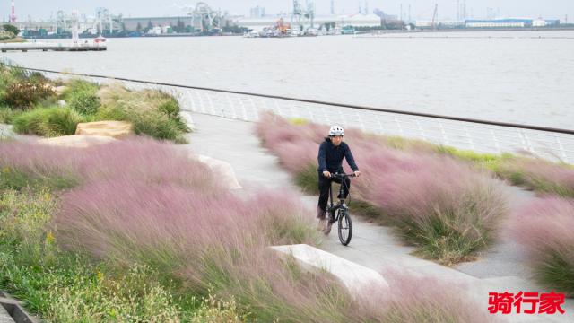 轻快之下的平衡艺术 2025大行 Archer P8 折叠车评测