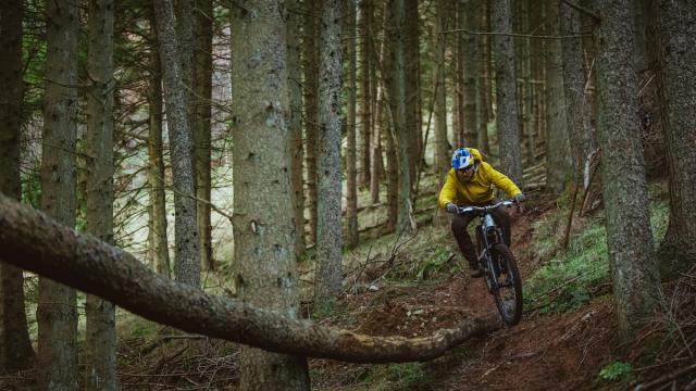 重力无所畏惧 Schwalbe Shredda Gravity系列