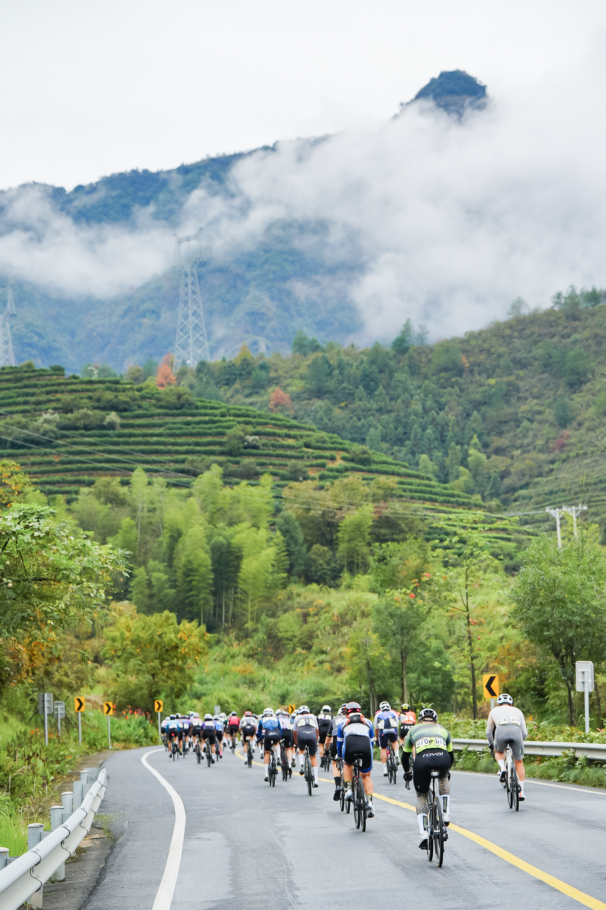 1762926844924669.jpg JM402447_2554530515-rp4105488865.jpg