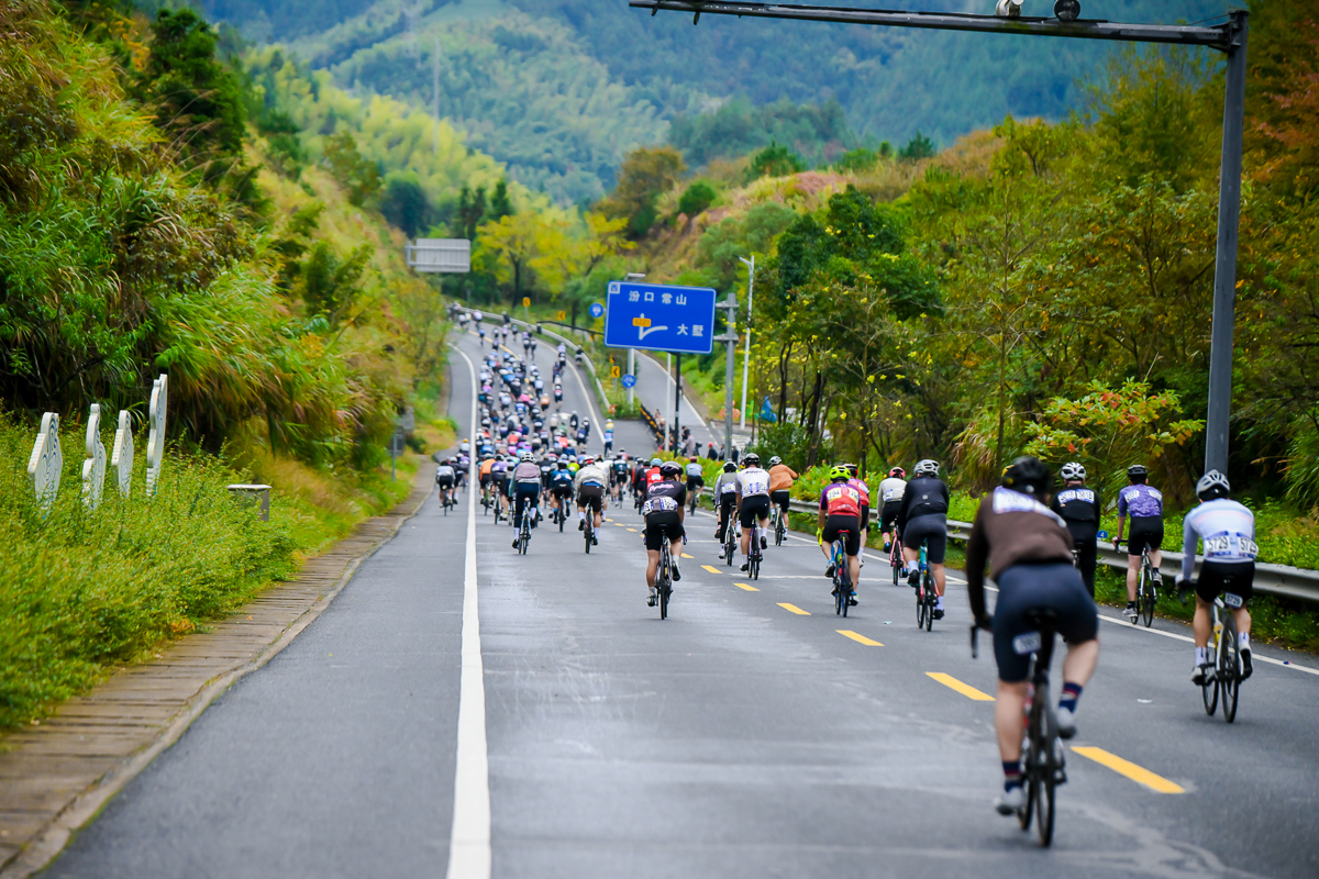 1762927184699010.jpg ZPG_0270_2554530515-rp4105577117.jpg