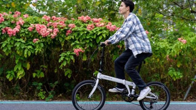 告别选择困难：新手的第一台折叠车推荐大行P8