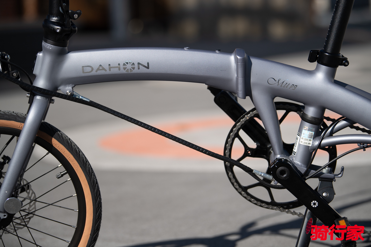 1763102103303888.jpg DSC_0198.jpg