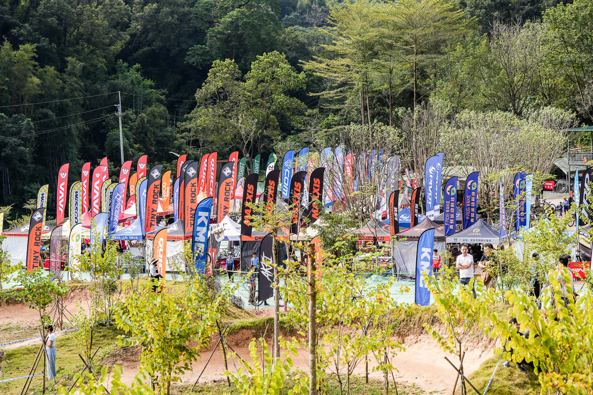 1763443178735418.jpg DSC07201-57.jpg