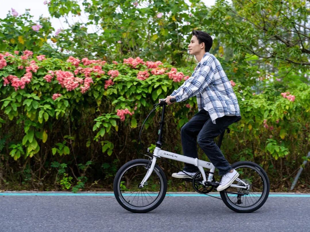 1764308521245043.jpg 640 (4).jpg