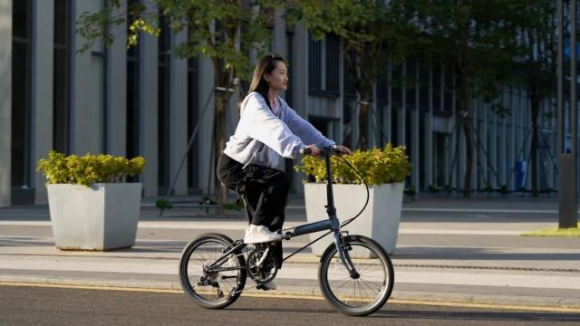 DAHON P8 骑乐无穷轻松通勤