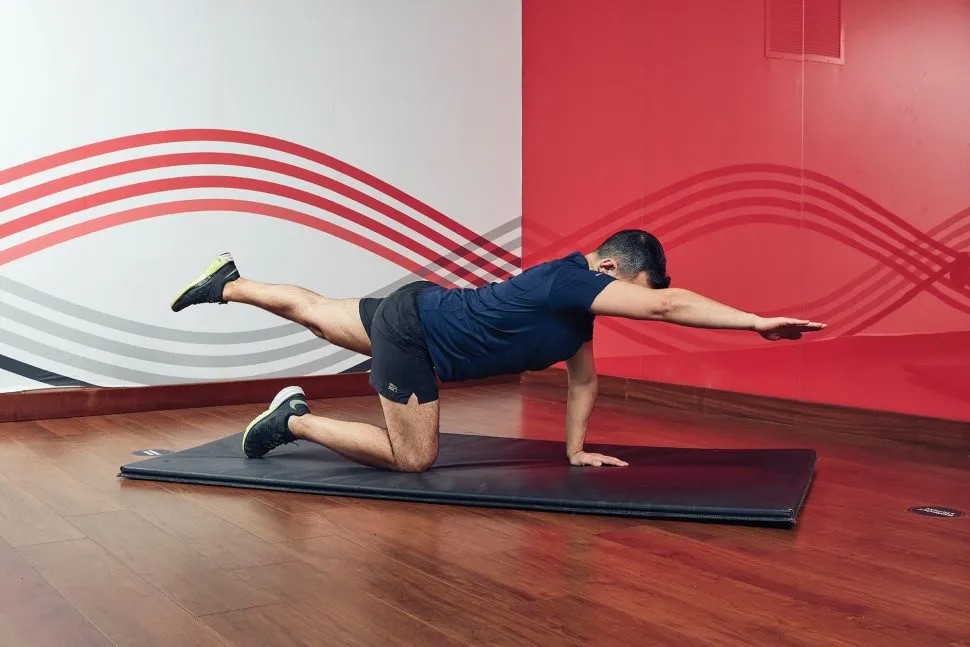 1764911917428807.jpg cycling_strength_circuits_22_circuit_2_5_bird_dog_2-970x647.jpg