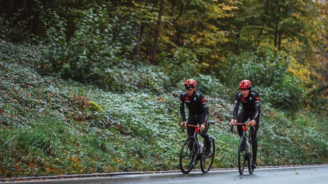 Schwalbe One 365 - 全天候 尽管冲