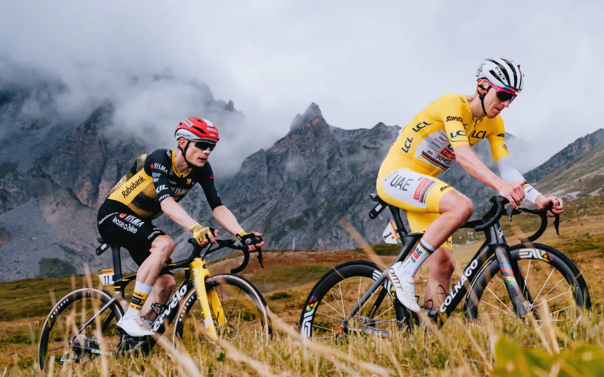 1765259455549058.jpg Z8C_2251-2-1200x750.jpg