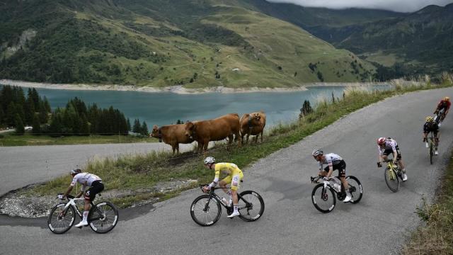 七大变化重塑新赛季 2026职业公路车坛迎来变局