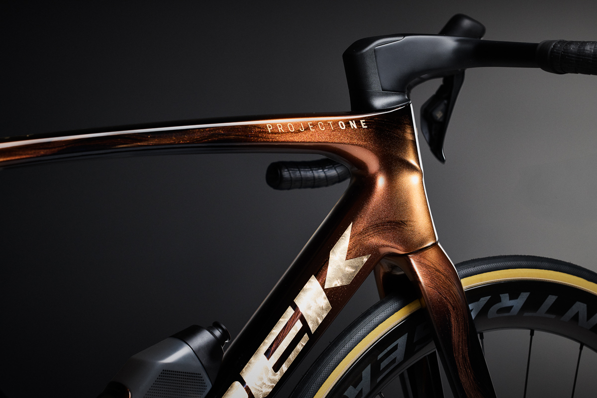 Tk25_P1_Palomino_Studio_Shoot 5.jpg