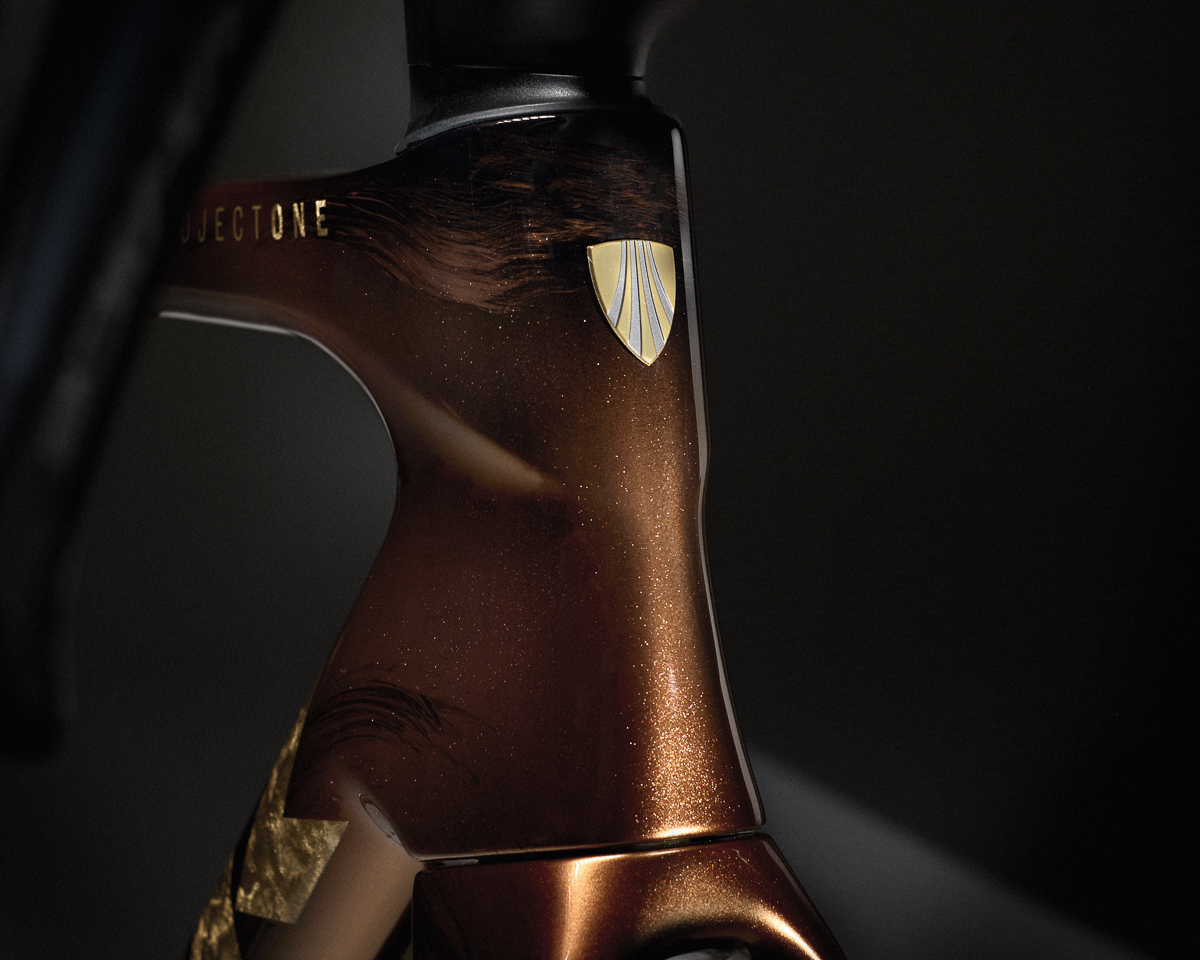 TK25-LAUNCH_MY25-Project-One-Palomino-egeving_headtube_EDIT_JL copy.jpg